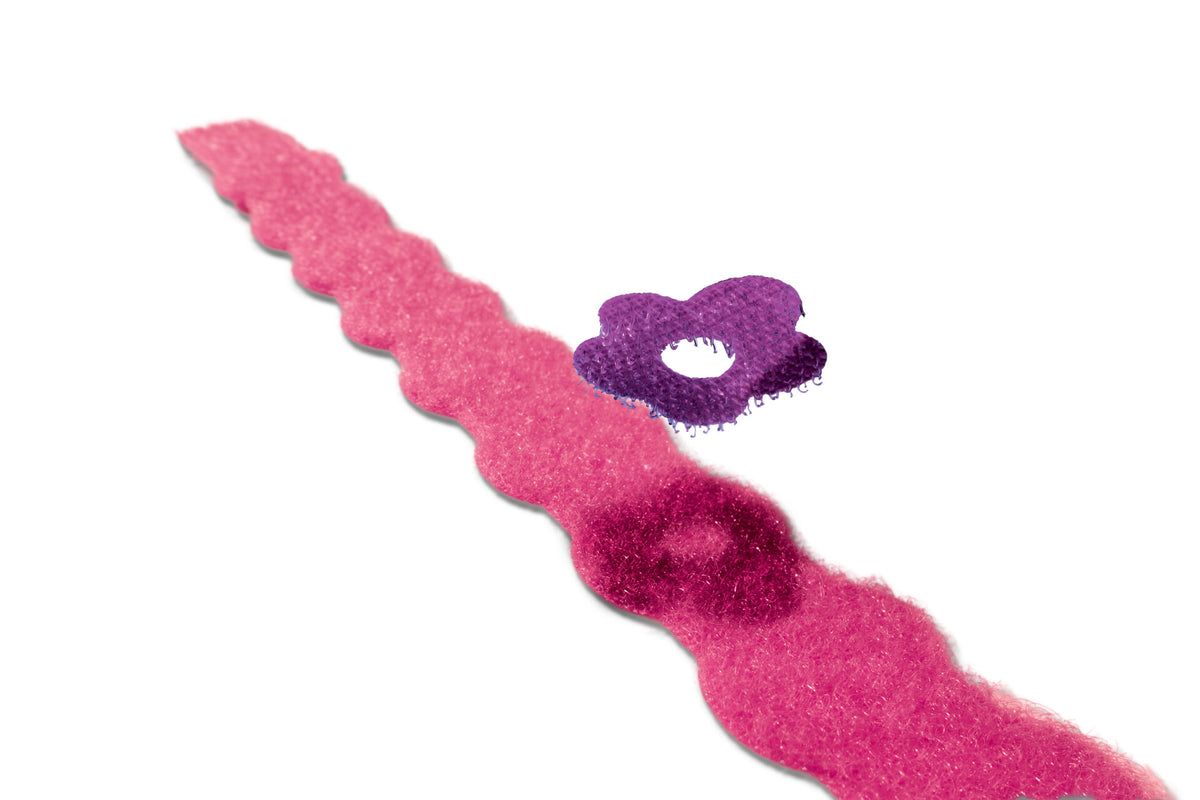 Zapestnice s trakom in zanko