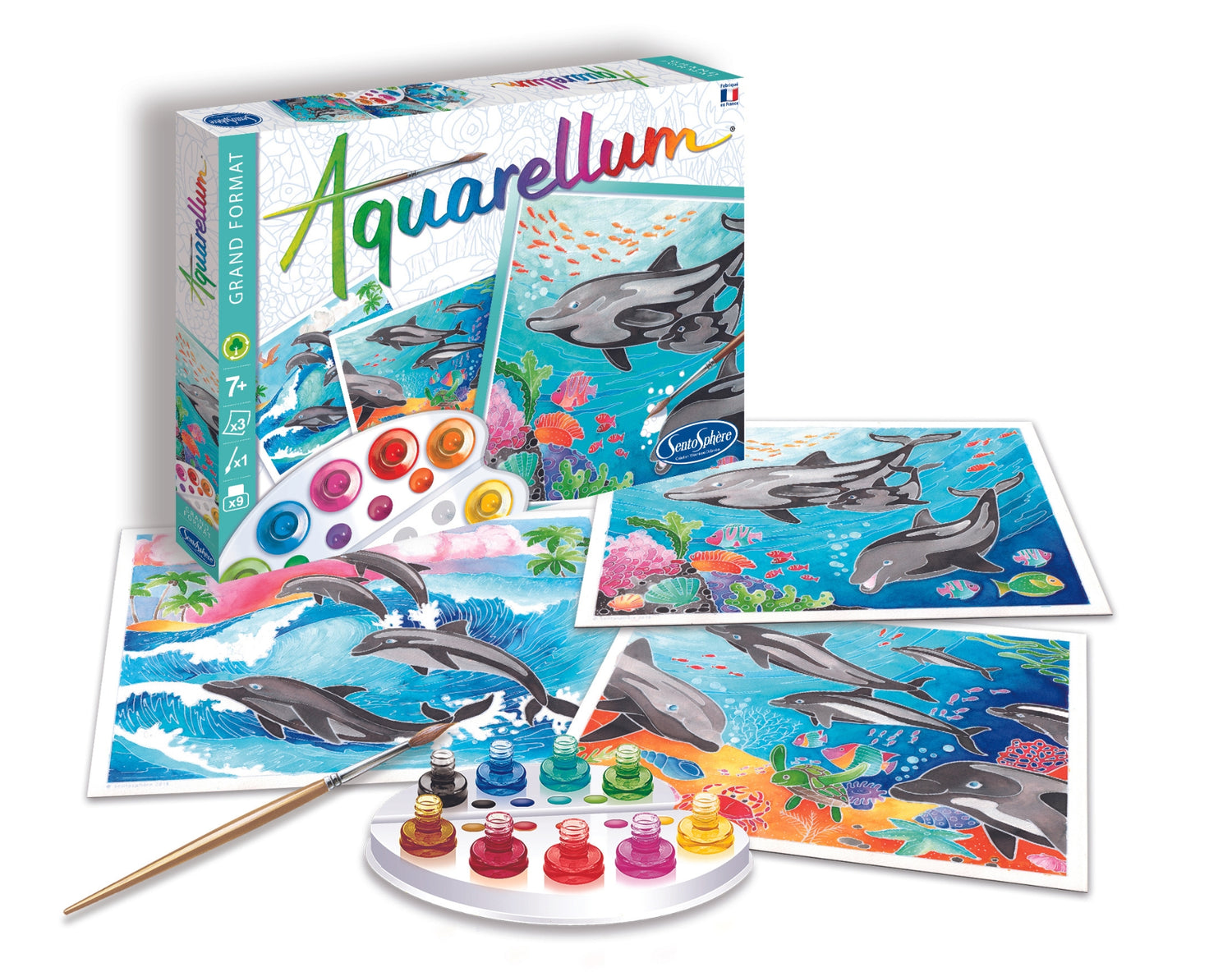 Aquarellum - Delfiny