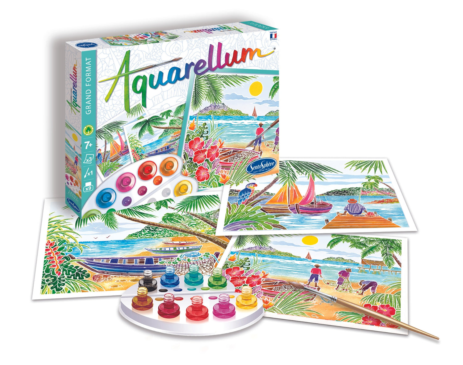 Aquarellum - Tropikalne krainy