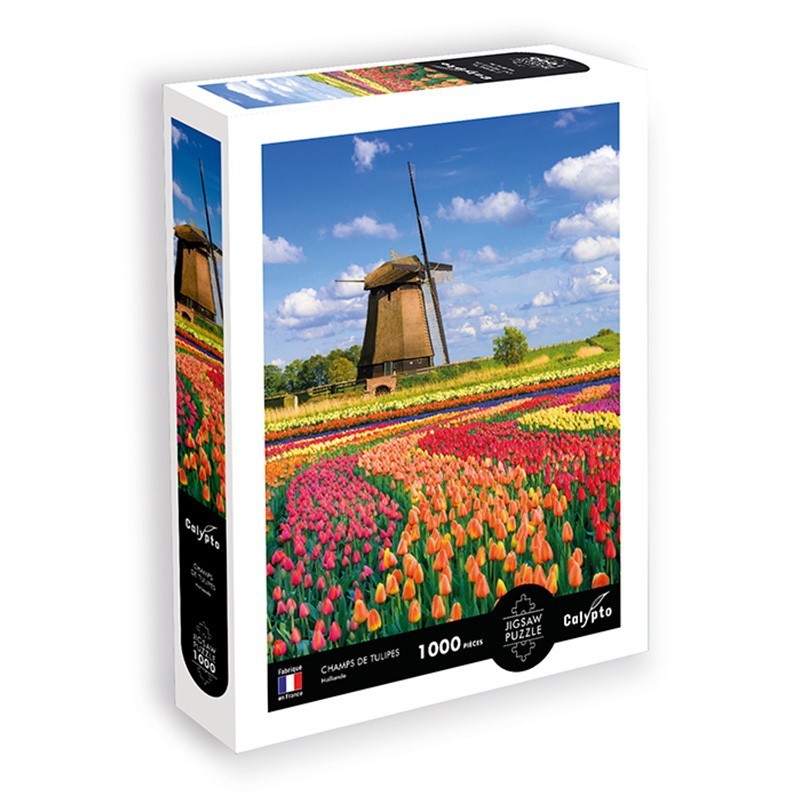 Puzzle 1000 sztuk - Krajobraz - Pola tulipanów - Holandia