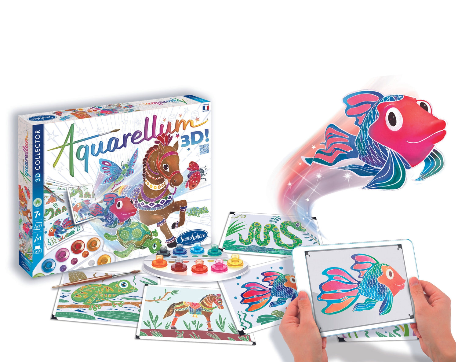 Aquarellum 3d - Kolekcja