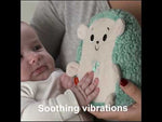 Fisher-Price Pomirni Vibes Ježek Pomirjevalec (GHL40)